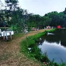 images - 2025-12-11T140412.253