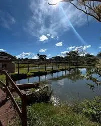 images - 2025-12-11T140554.889