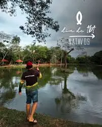 images - 2025-12-11T140847.733