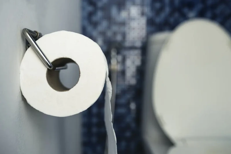 curiosidades-papel-higienico-ok