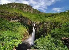 images (7)