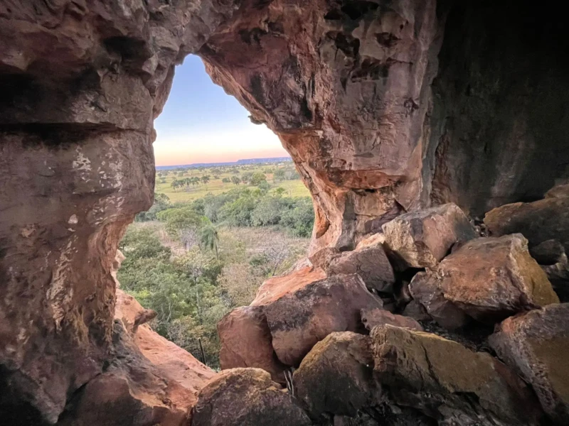 2bf1045b-4af3-4f66-891c-7537f085b0e4