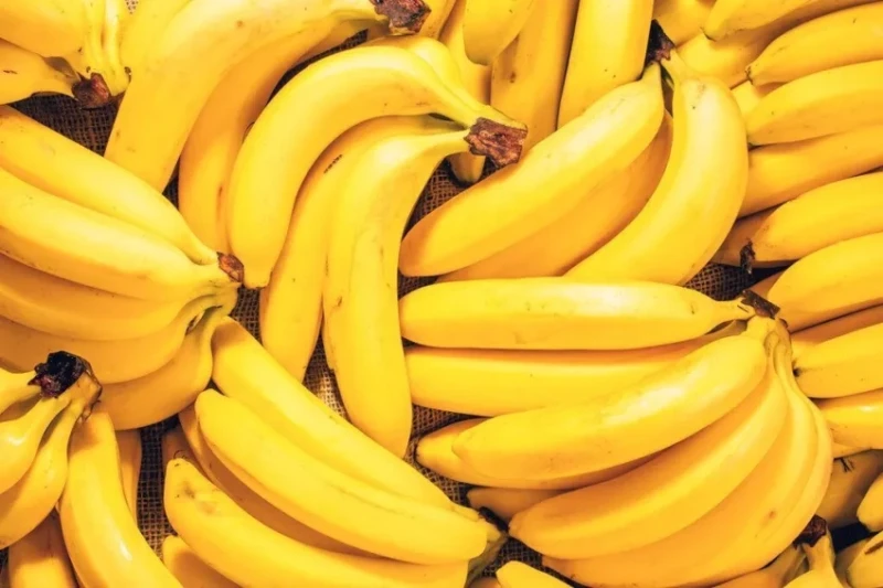 quantas-bananas-pode-comer