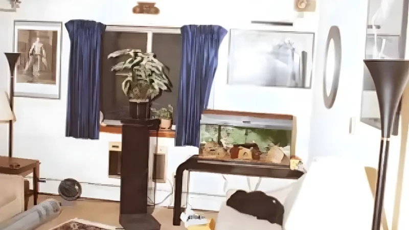 Untitled-Project-2025-12-15T113925.714