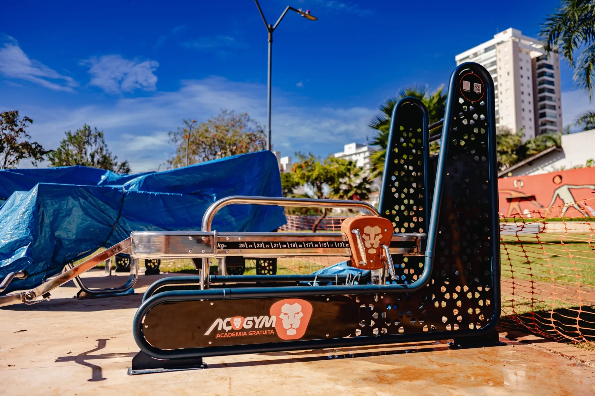 WhatsApp Image 2026-02-16 at 12.03.41