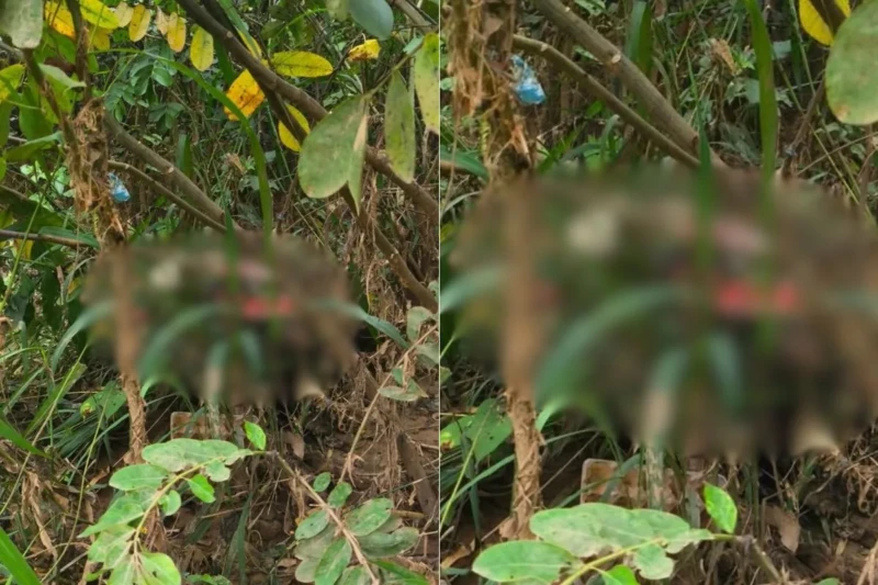 752935-20260309-011019-5c1216